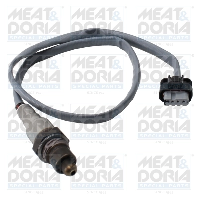 Oxygen Sensor